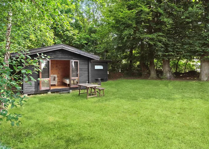 Front In With Wifi *